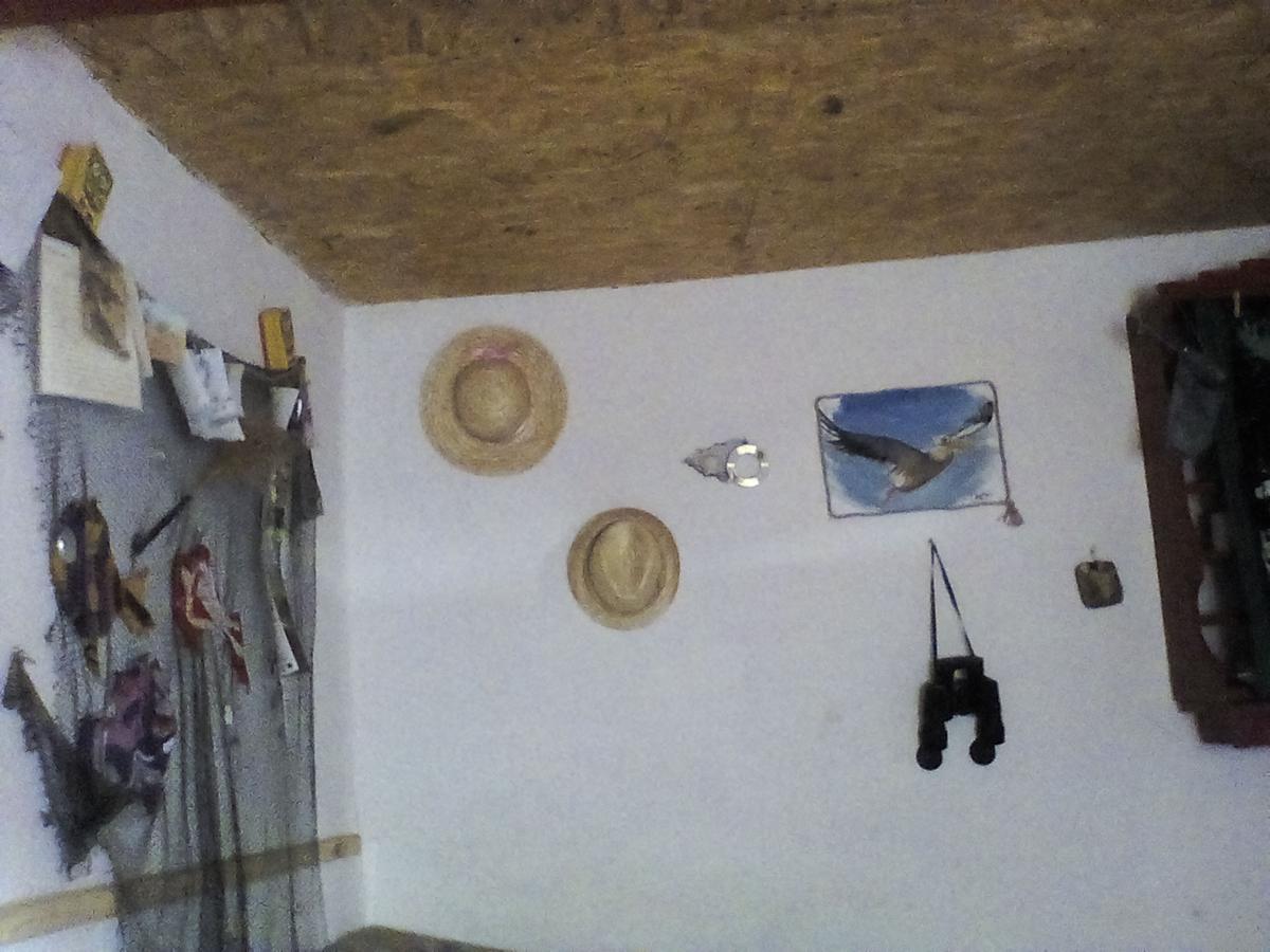 Casa Delta 106 Sfântu Gheorghe Exterior foto